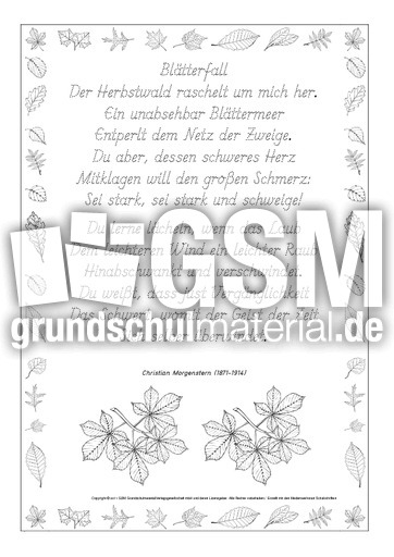 Nachspuren-Blätterfall-Morgenstern-GS.pdf